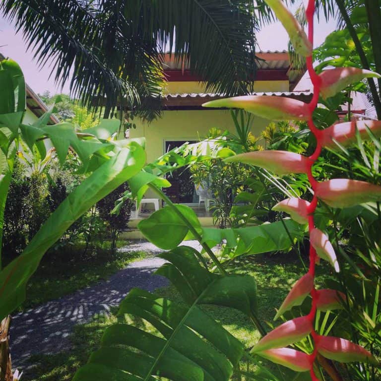 aathid-garden-bungalow-garden